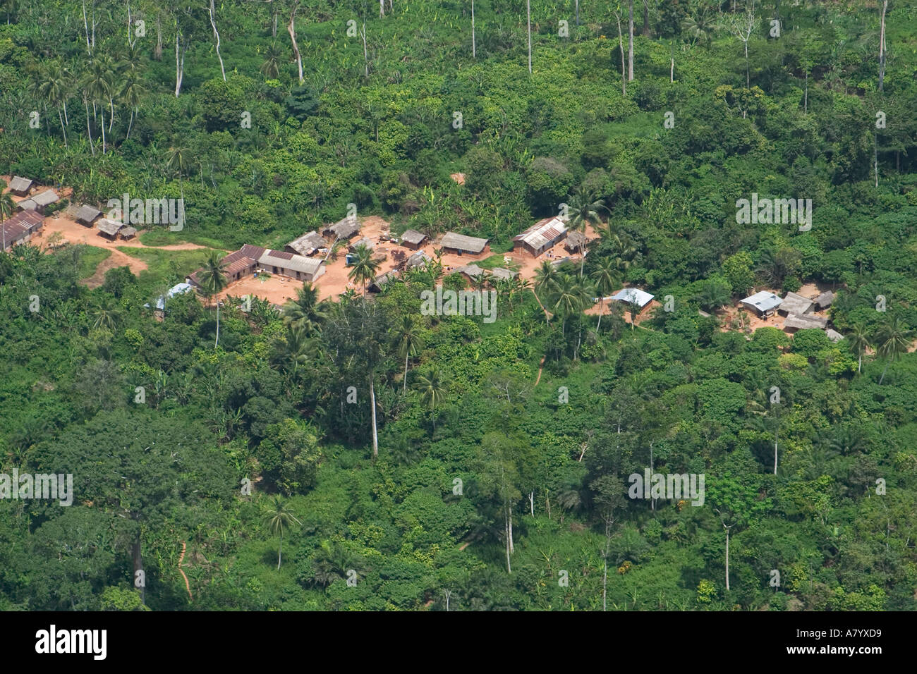 Antenne der kleinen abgelegenen Siedlungen im Wald die familiengeführte Kakao Ernten in Ghana Westafrika Stockfoto