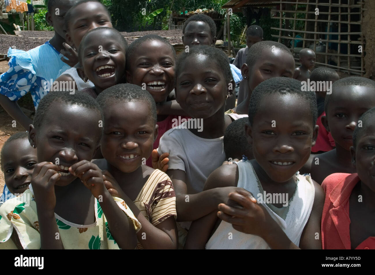 Glücklich gesund Ghanaischen Kindern in einer gemischten Gruppe von Jungen und Mädchen Ghana Westafrika Stockfoto