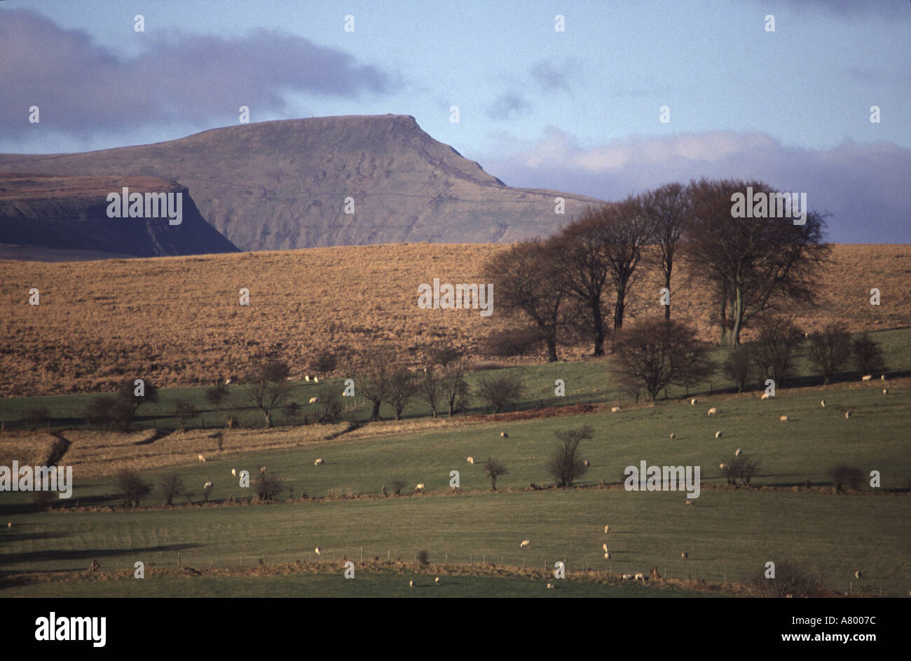 PEN Y FAN, DER HÖCHSTE GIPFEL IN DEN BRECON BEACONS, GESEHEN VON MERTHYR TYDFIL, SOUTH WALES, GROßBRITANNIEN Stockfoto