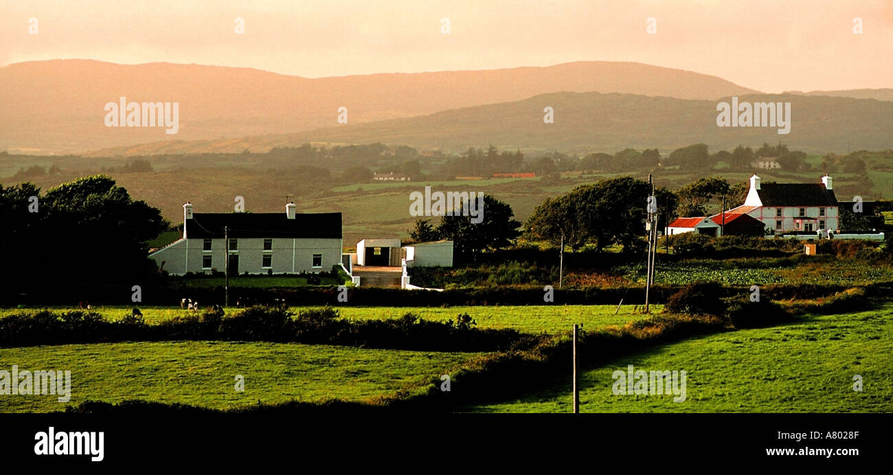 Irland-county Cork-Mizen-Halbinsel in der Nähe ballydehob Stockfoto