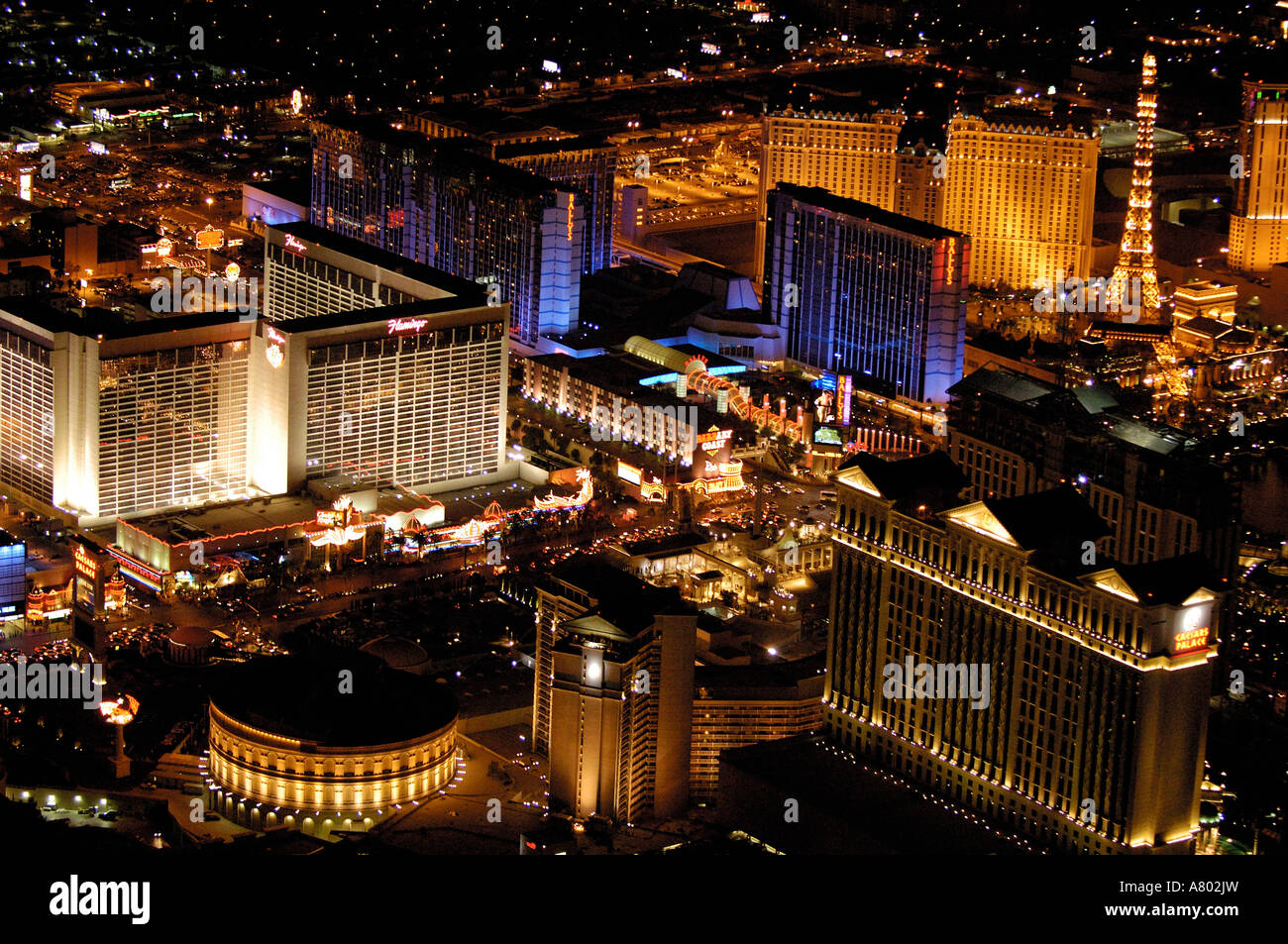 Palmen statt Spatenstich Stockfoto