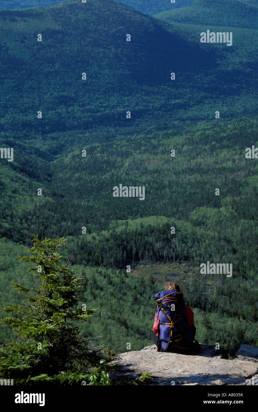 Zeacliff Berg. Backpacking in die Pemigewasset Wilderness Area.  Appalachian Trail.  Mai.  Weiße Berge NF, NH (MR) Stockfoto