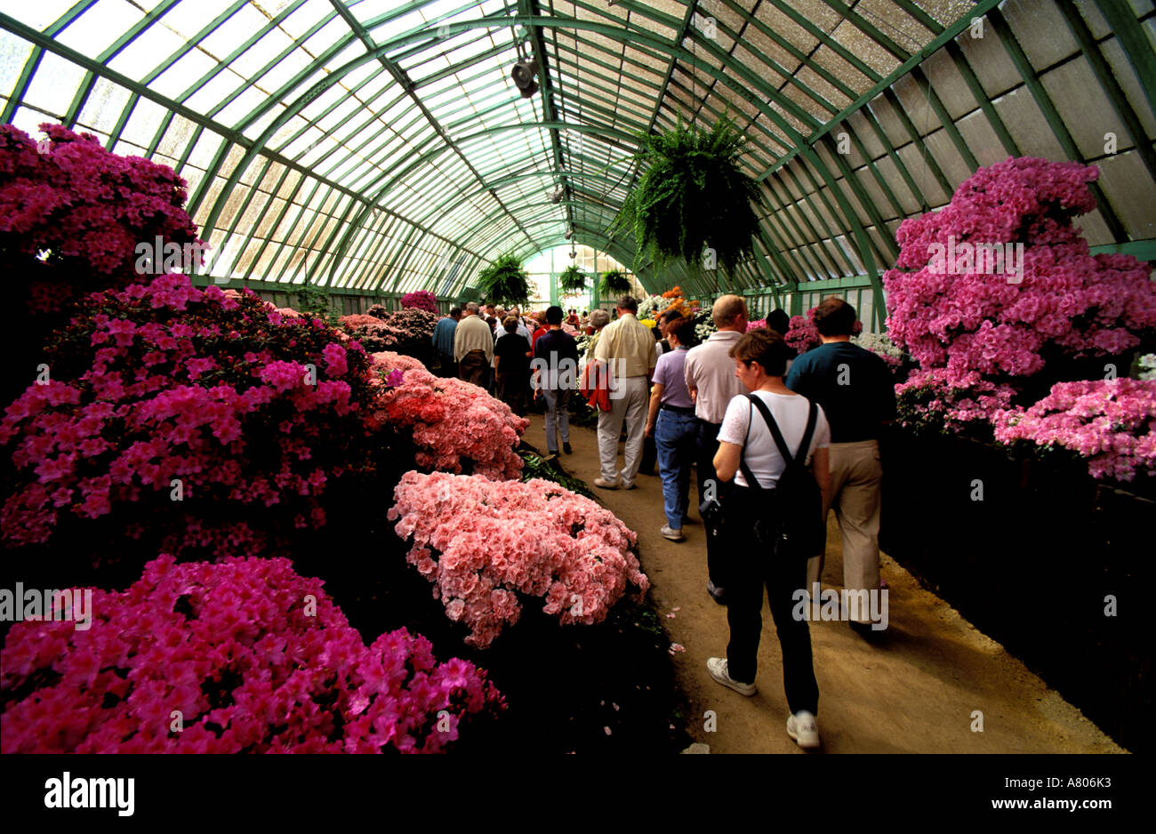 Belgien, Brüssel, Gewächshäuser Königspalast in Laeken park Stockfoto