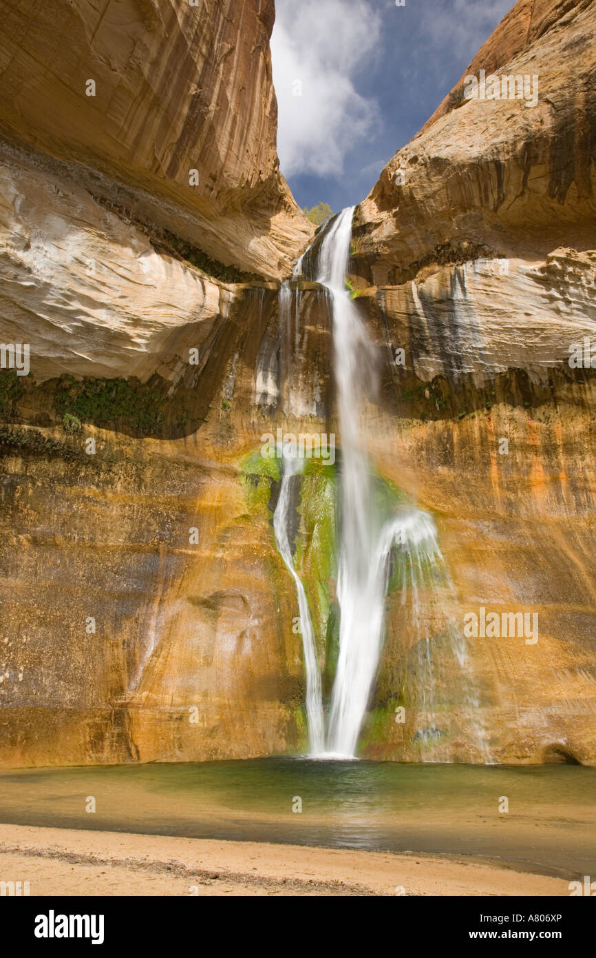 Utah, Grand Staircase Escalante NM, Lower Calf Creek Falls, 126 Fuß Wasserfall nach unten glatt aus rotem Sandstein Stockfoto