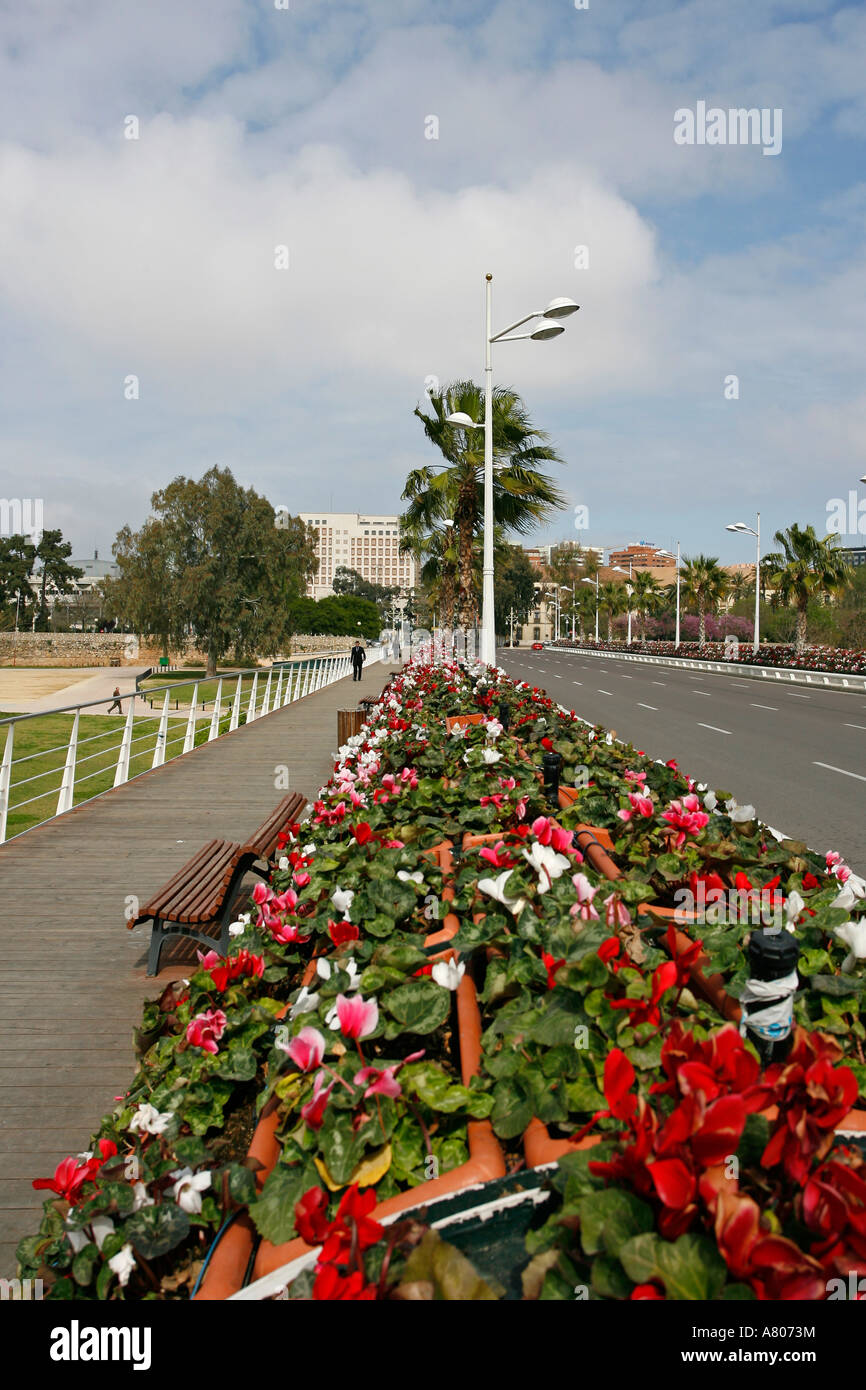 Pont de Les Flors Valencia Spanien Europa Stockfoto