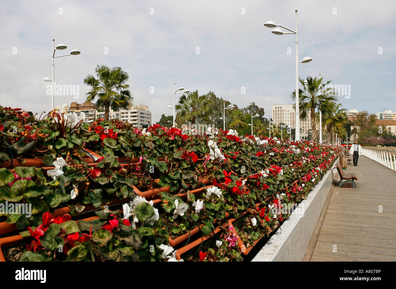 Pont de Les Flors Valencia Spanien Europa Stockfoto