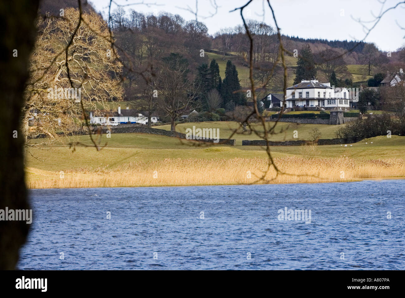 Esthwaite Wasser Stockfoto