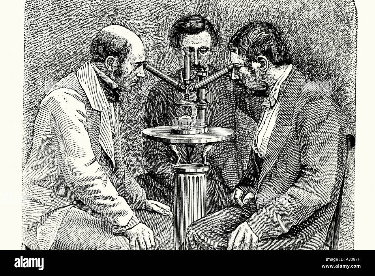 Drei Objektiv-Mikroskop für gleichzeitige Beobachtungen. Antike Darstellung. 1882 Stockfoto