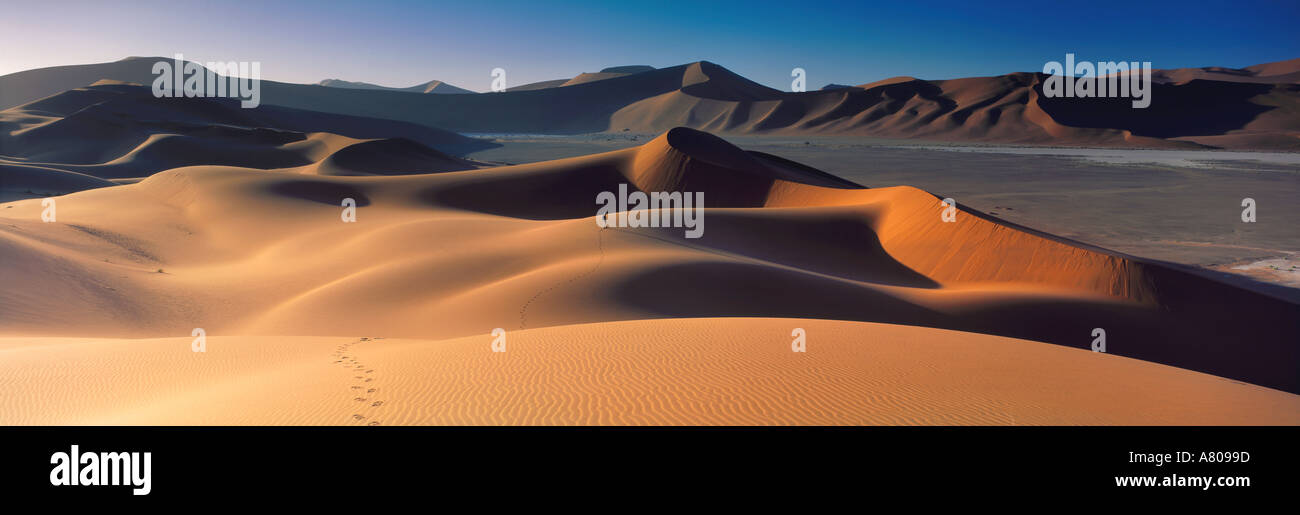 Beschreitet kühn Namib Wüste Namibia Stockfoto