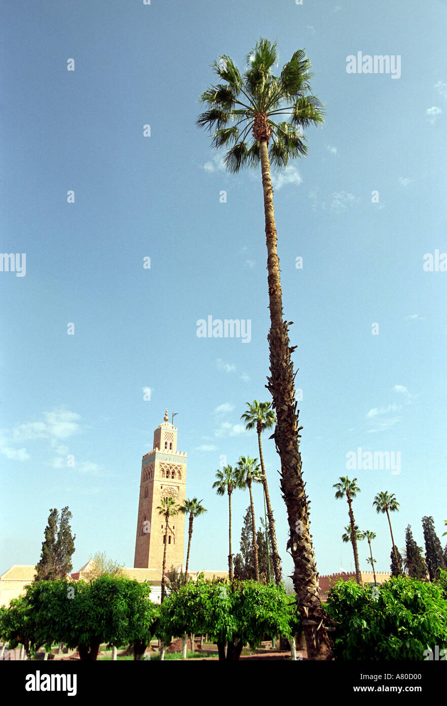 Die Koutoubia-Moschee in Marrakesch Marokko Nordafrika Stockfoto