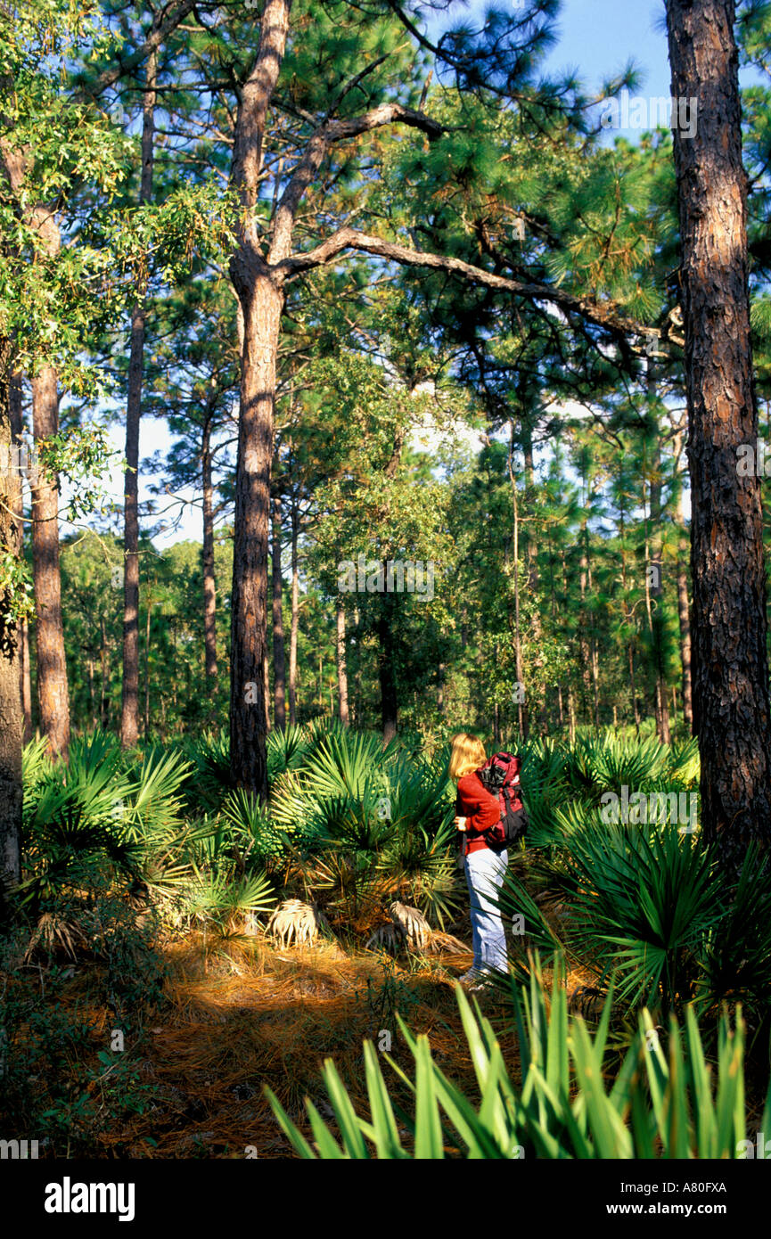 Florida Trail Wandern Frau Kiefern Stockfoto