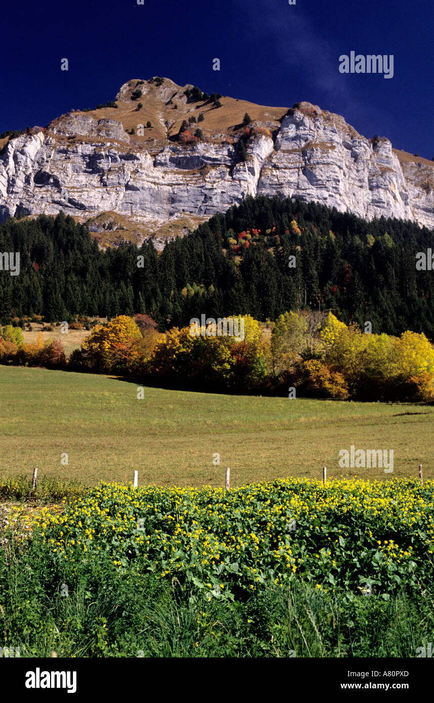 Frankreich, Haute Savoie, La gelohnt-Massivs in der Nähe von Annecy Stockfoto