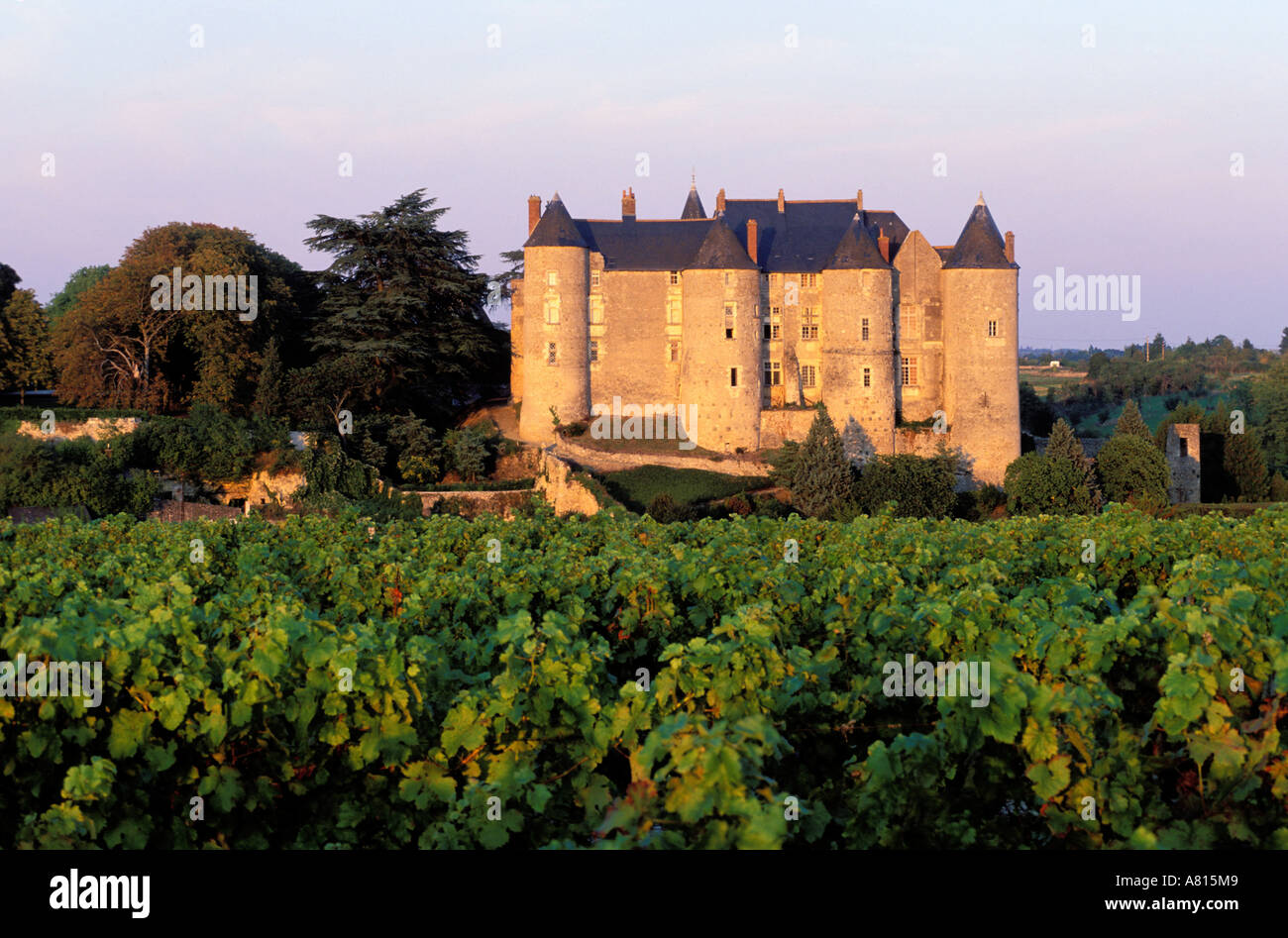 Frankreich, Indre et Loire, Touraine von Balzac, Burg von Luynes Stockfoto
