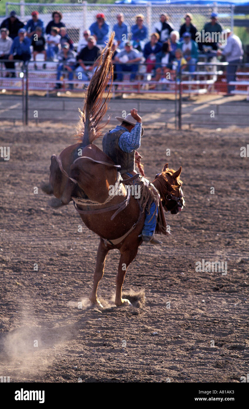 Kanada, Saskatchewan, die Badlands Land Rodeo in Shaunavon Stockfoto