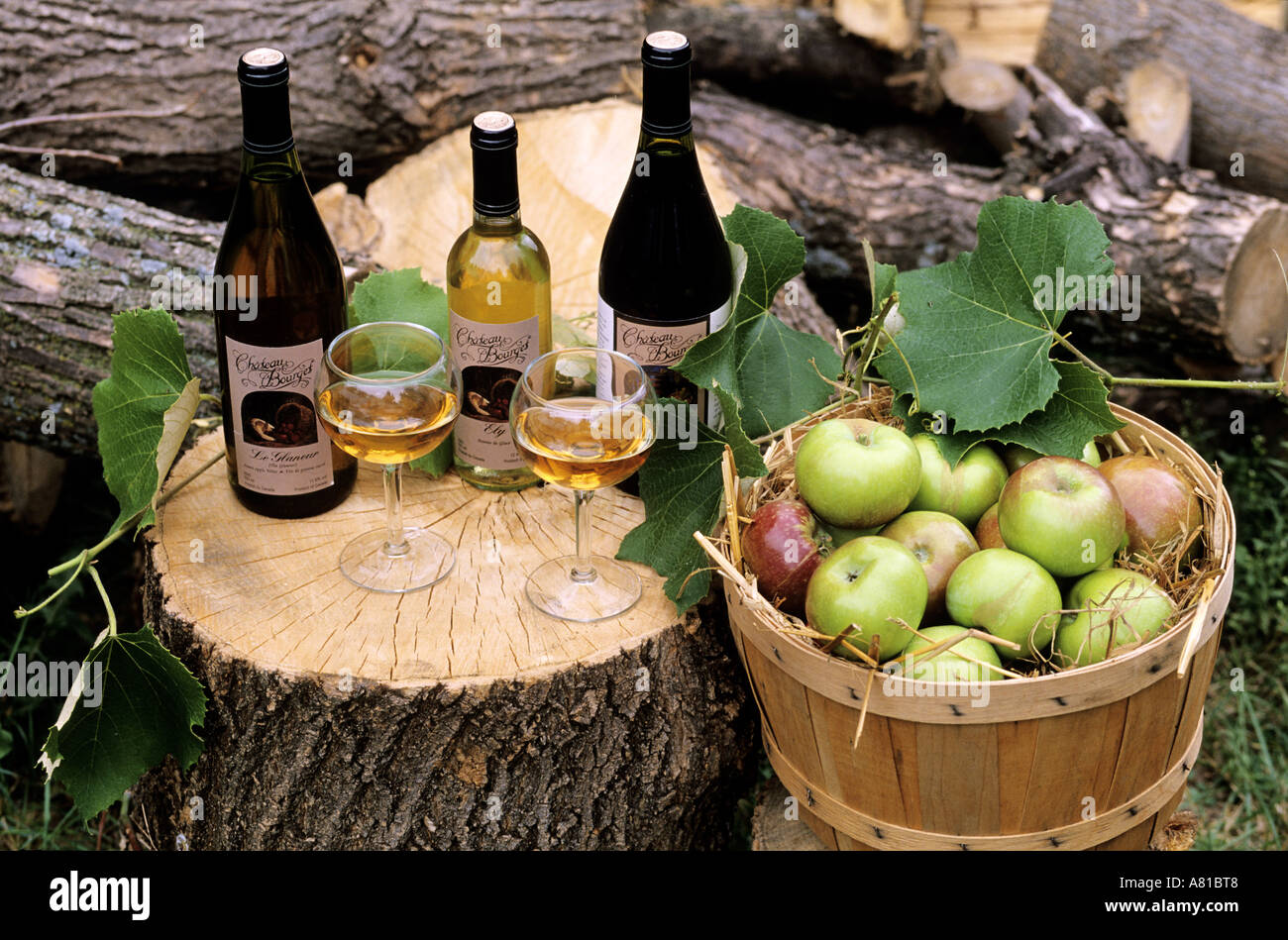 Kanada, Osten von Ontario, Produkte des Weinbergs und der Obstgarten (Traube und Apfel-Weine) des Schlosses le Bourget in le Bourget Stockfoto