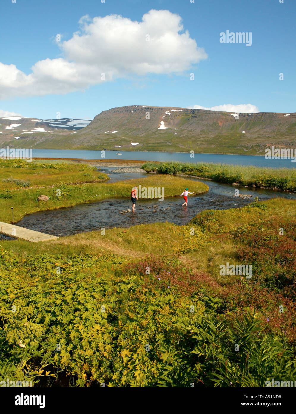 Hesteyri West Fjorde Islands Stockfoto