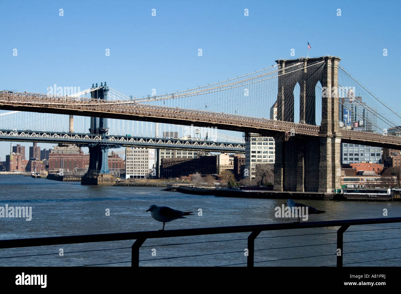 Die Brooklyn Bridge New York City Stockfoto