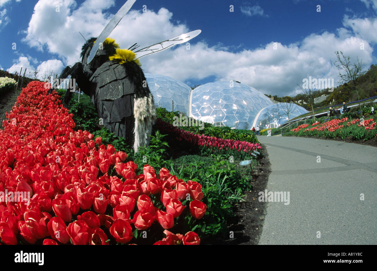 Garten - Eden Project, Cornwall, ENGLAND Stockfoto