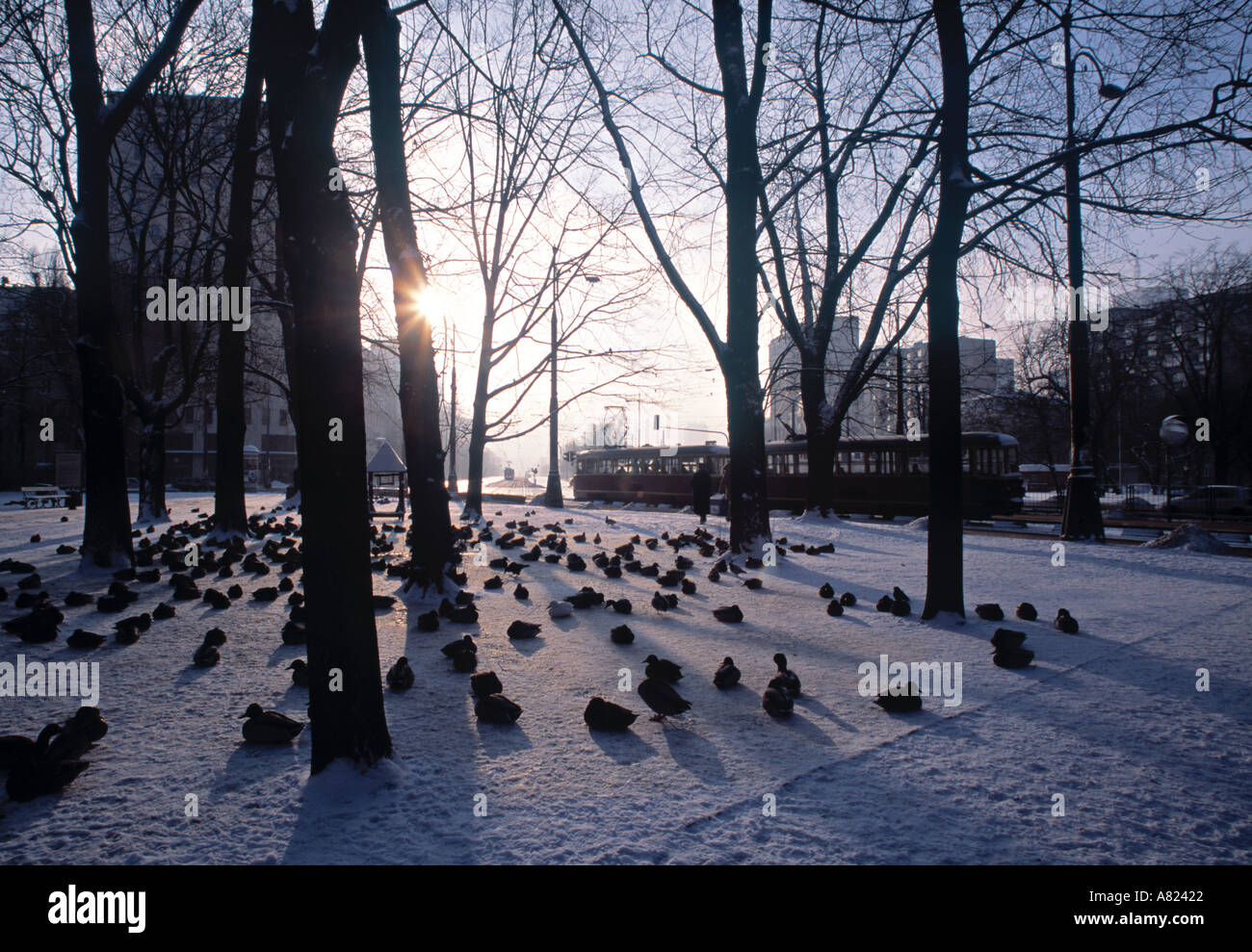 Ogrod Saski (Sächsischen Garten), Warschau, Polen Stockfoto