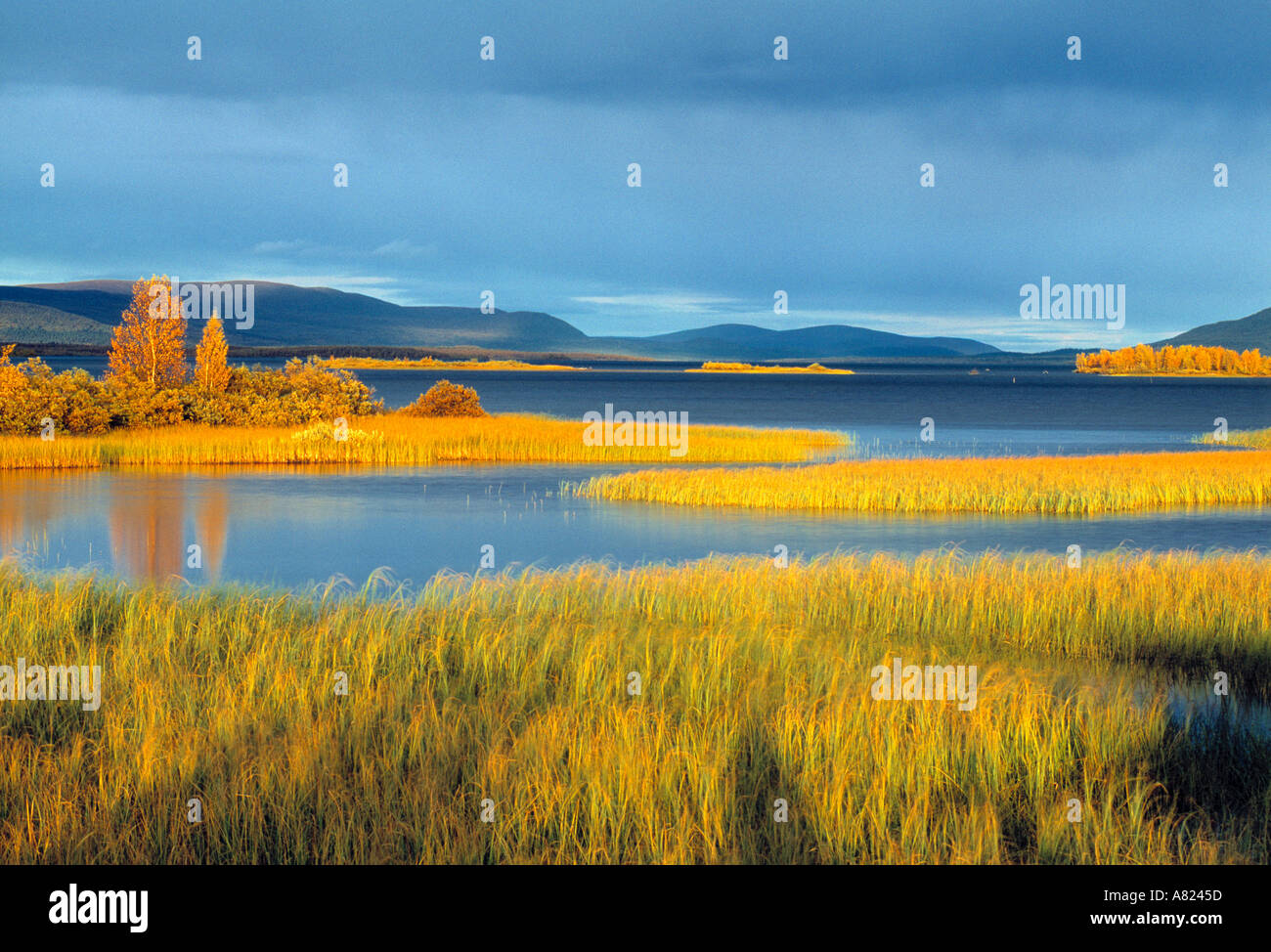 Laponia Weltkulturerbe, Lappland, Schweden Stockfoto