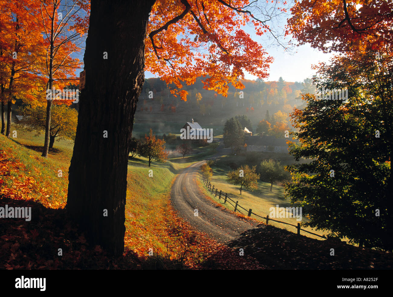 Herbst Laub, Vermont, USA Stockfoto