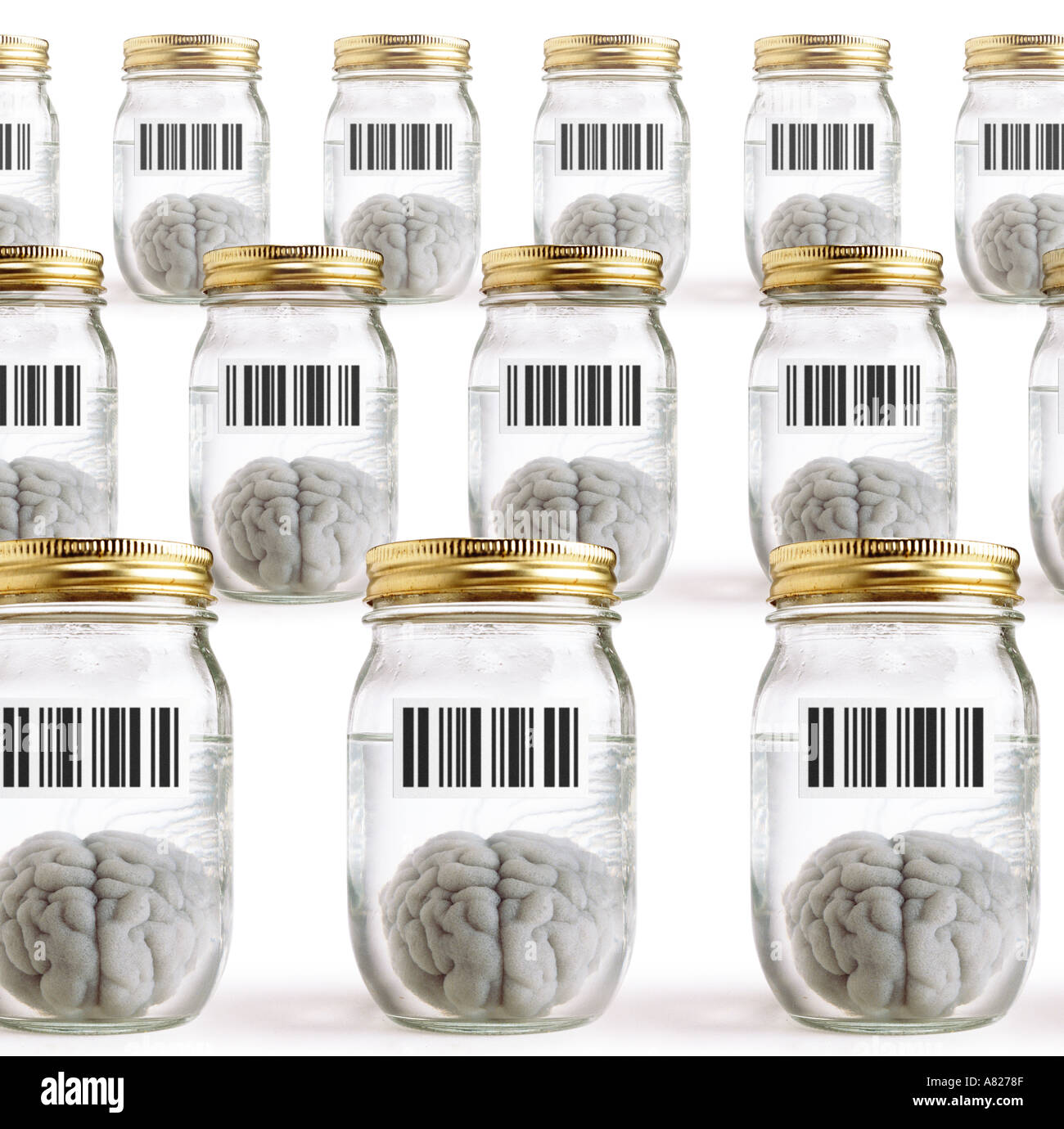 Gehirne in Gläsern mit barcodes Stockfoto