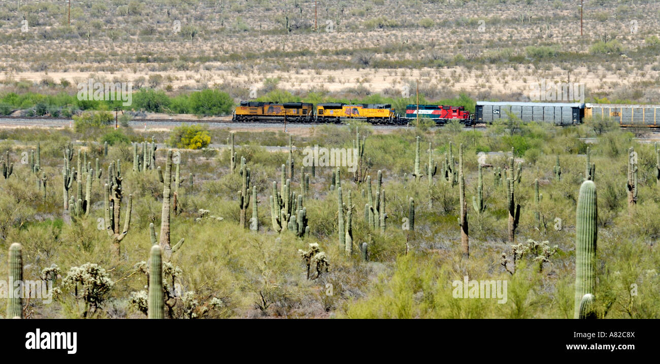 Zug fährt durch die flirrende Hitze der Sonora-Wüste Stockfoto