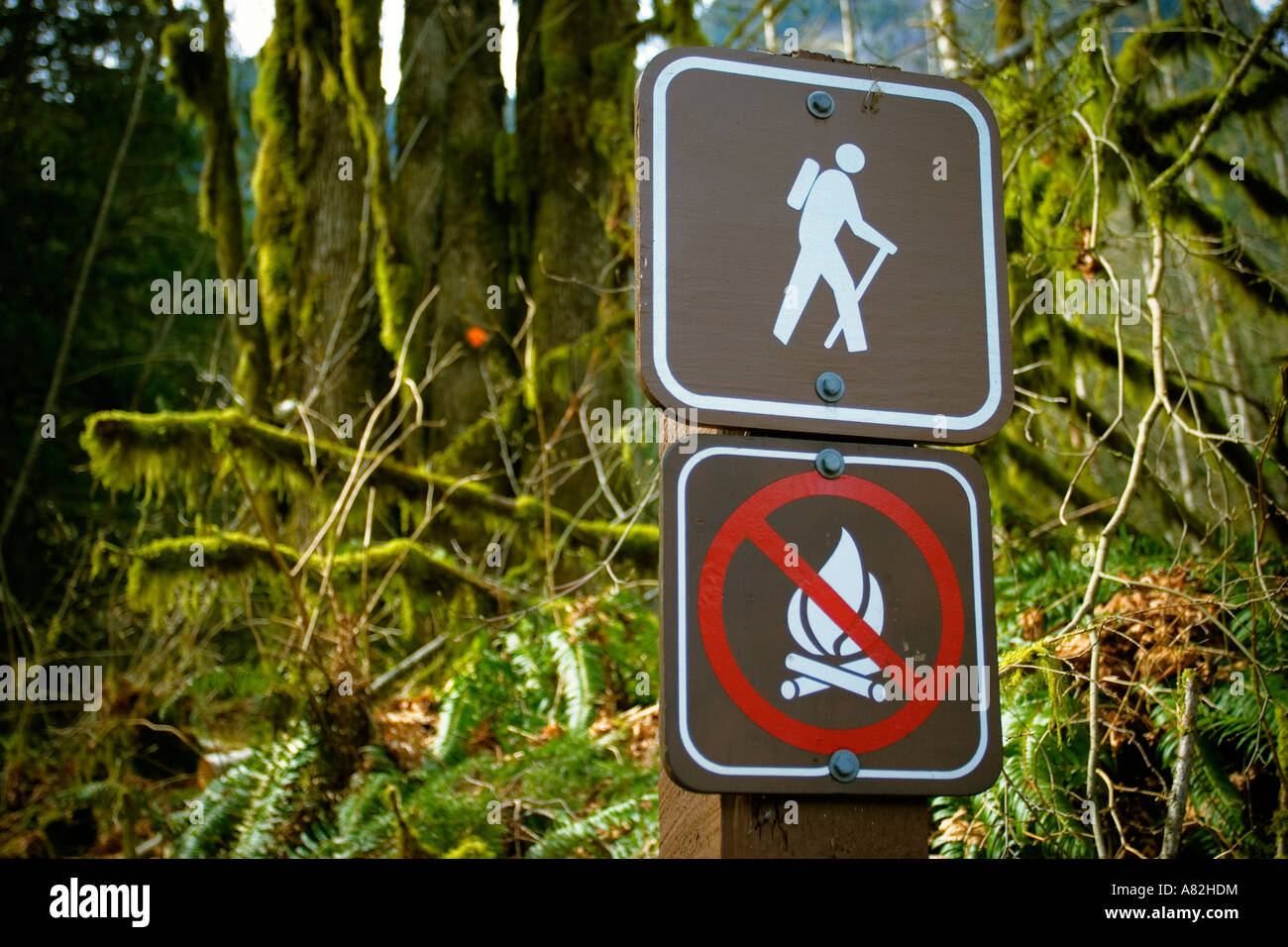 Wanderer zu unterzeichnen und Feuer verboten am Eingang einer Spur in einem regionalen park größer Vancouver Kanada British Columbia Stockfoto