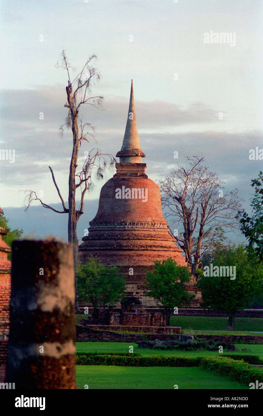 Elefanten-Tempel Sukhothai Thailand Stockfoto