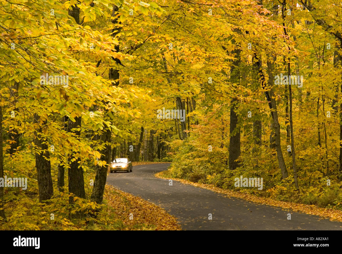 Mount Greylock Reservierung, Massachusetts, USA Stockfoto