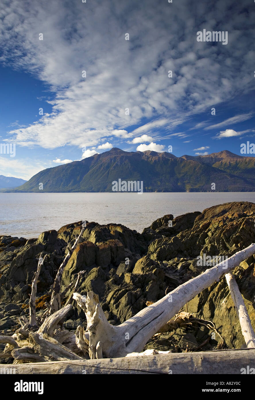 Beluga Point, Halbinsel Kenai, Alaska, USA Stockfoto