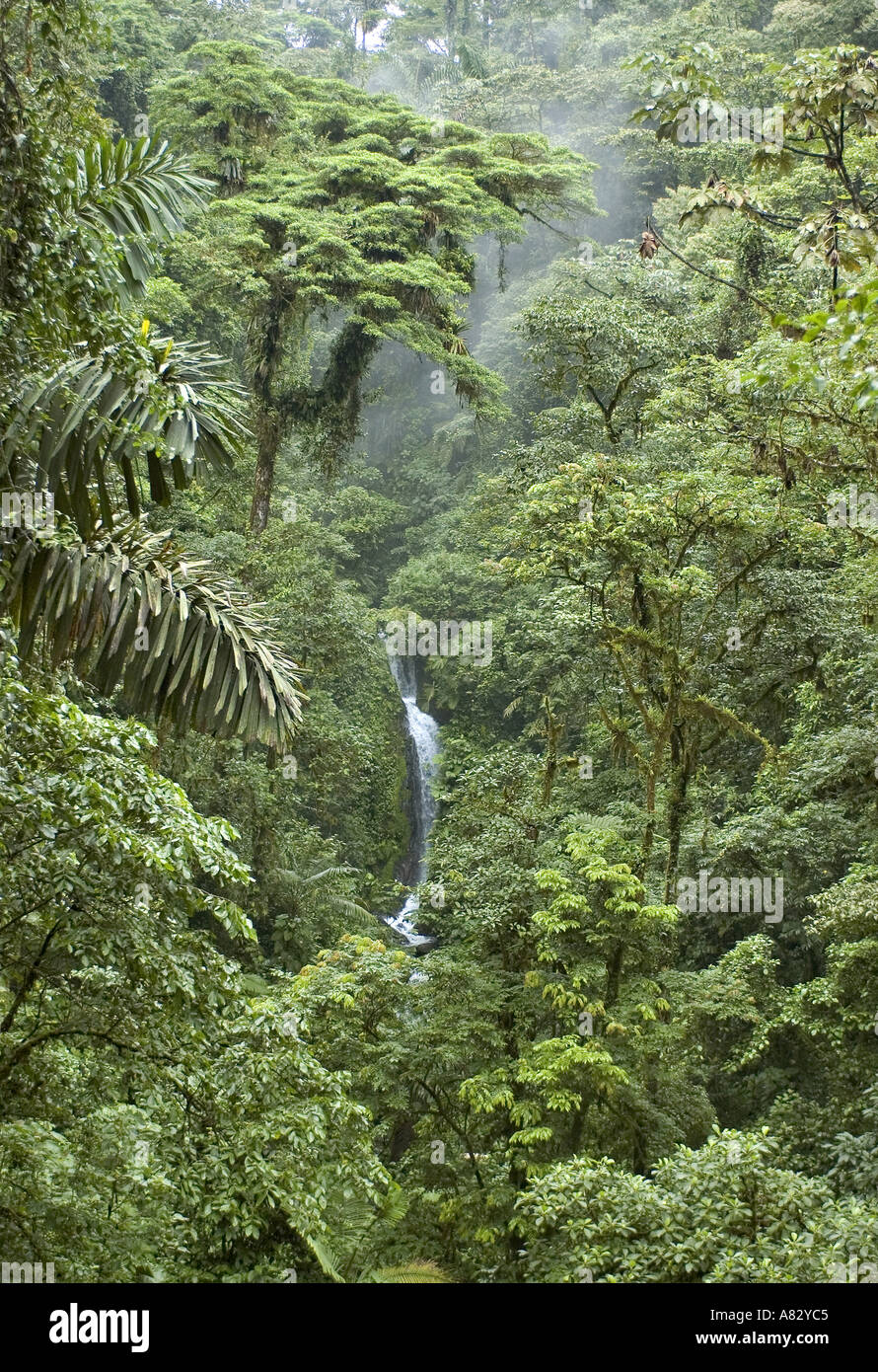 Arenal, Costa Rica Stockfoto