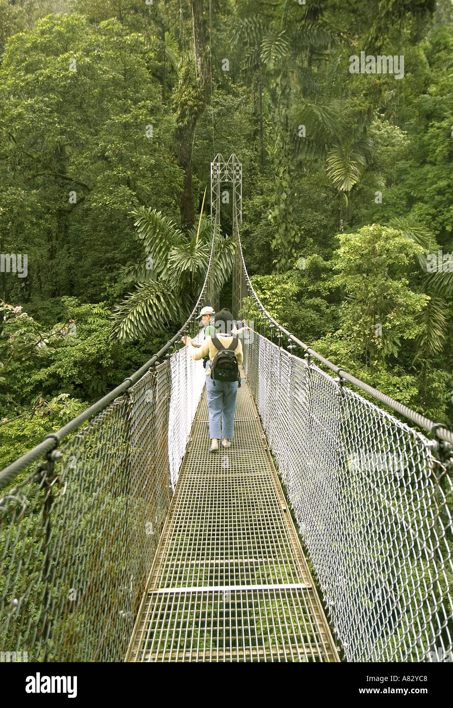 Hängende Brücken Trail, Arenal, Costa Rica Stockfoto