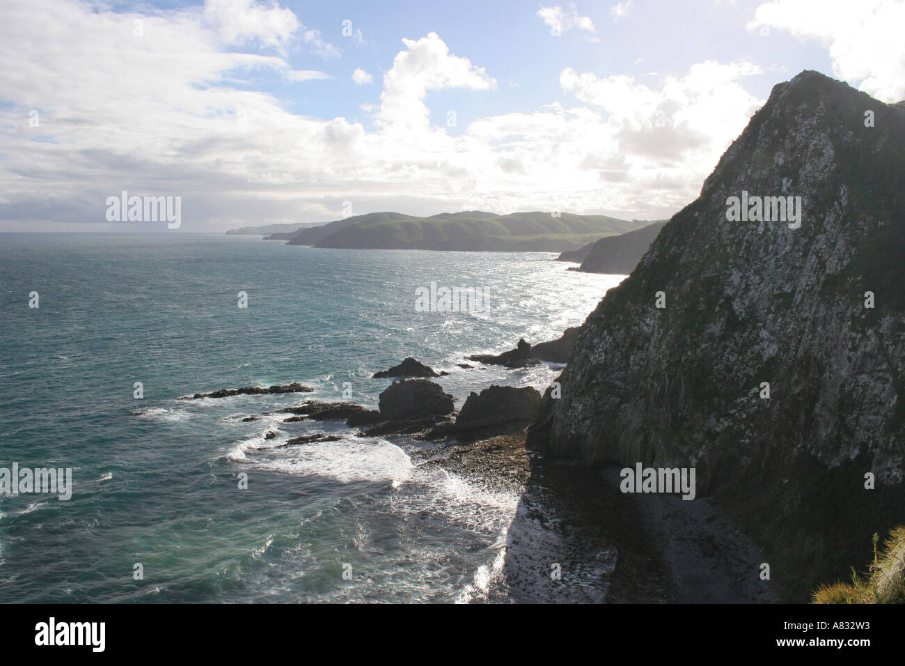 Nugget Point, Catlins Coast, Neuseeland Stockfoto