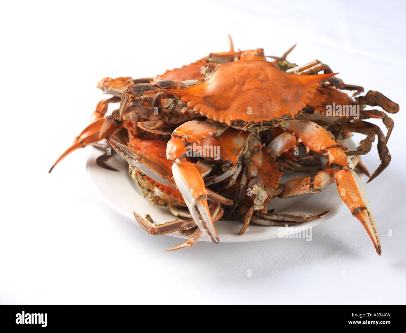 Teller mit gedünstete Krabben Stockfoto