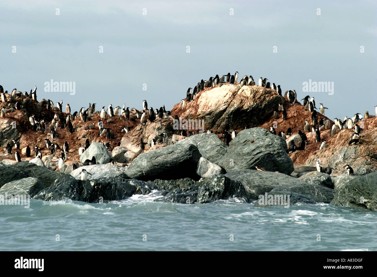 Historic Elephant Island, Antarktis ist die Website von Sir Ernest Shackleton heldenhafte Rettung von 22 seiner Männer Stockfoto