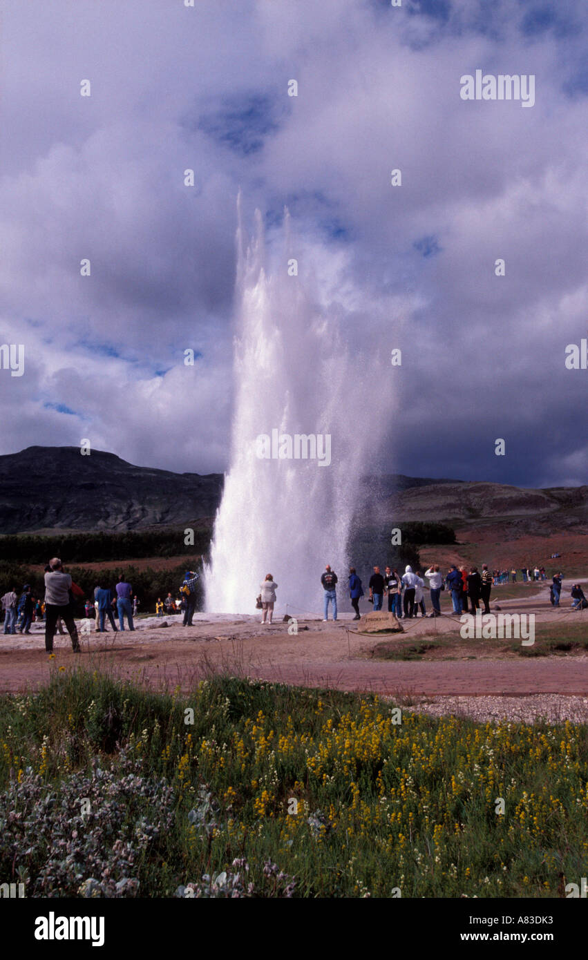 Grosser Geysir Von Laugardulur Island Stockfotografie Alamy