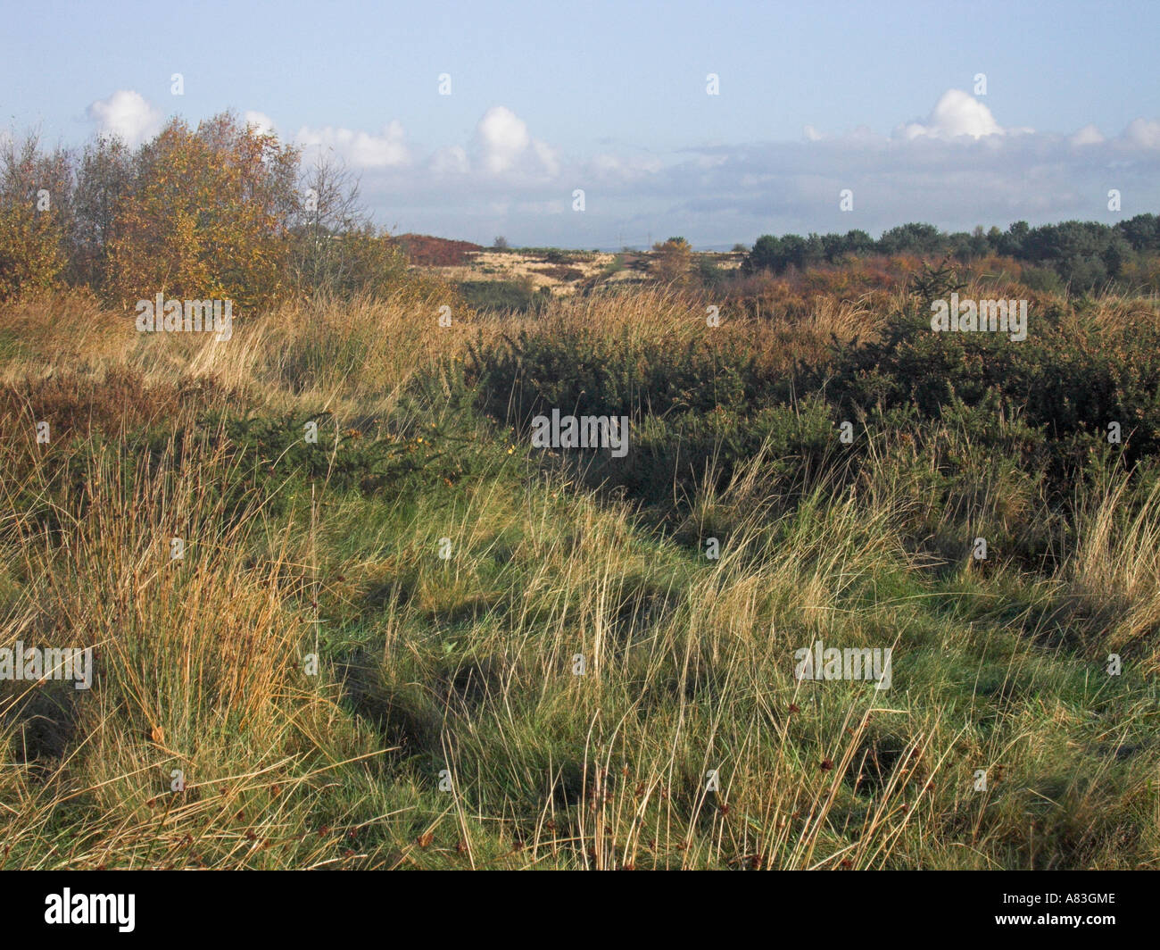 Parkhall Landschaft Park, Stoke-On-Trent Stockfoto