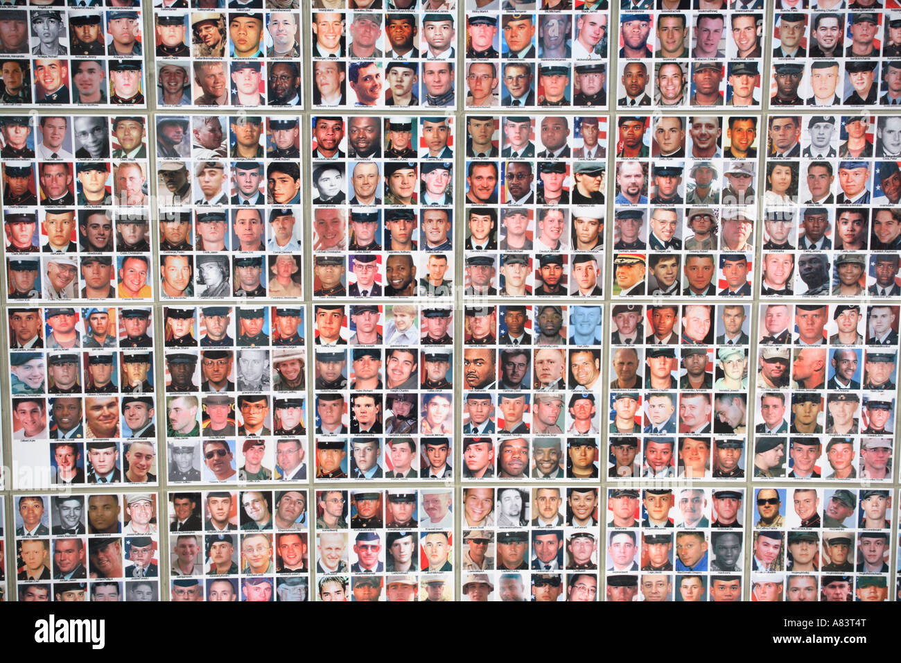 öffentliche Ausstellung mit Bildern von getöteten US-Soldaten im Irakkrieg. Santa Monica, Kalifornien, usa Stockfoto