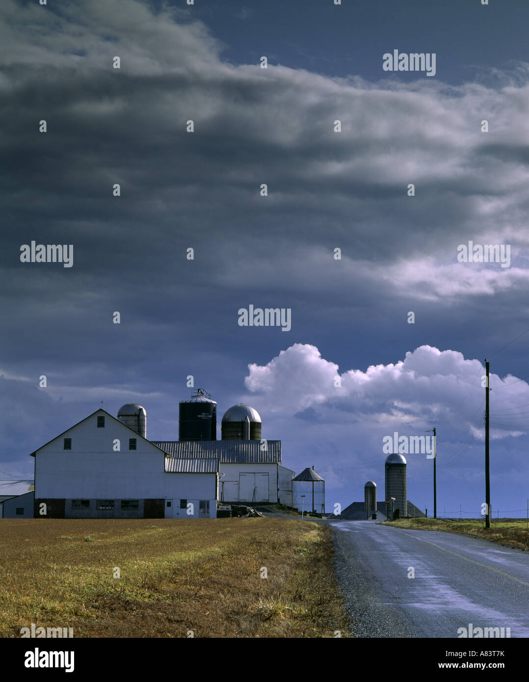 MILCHVIEHBETRIEB MIT STURM WOLKEN OVERHEAD LANCASTER COUNTY PENNSYLVANIA Stockfoto
