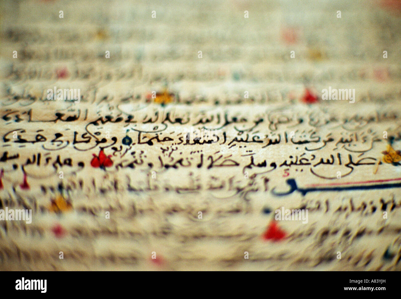 Illuminierte Handschrift Biographie von Mohammed aus 1204AD im Ahmed Baba Zentrum Stockfoto