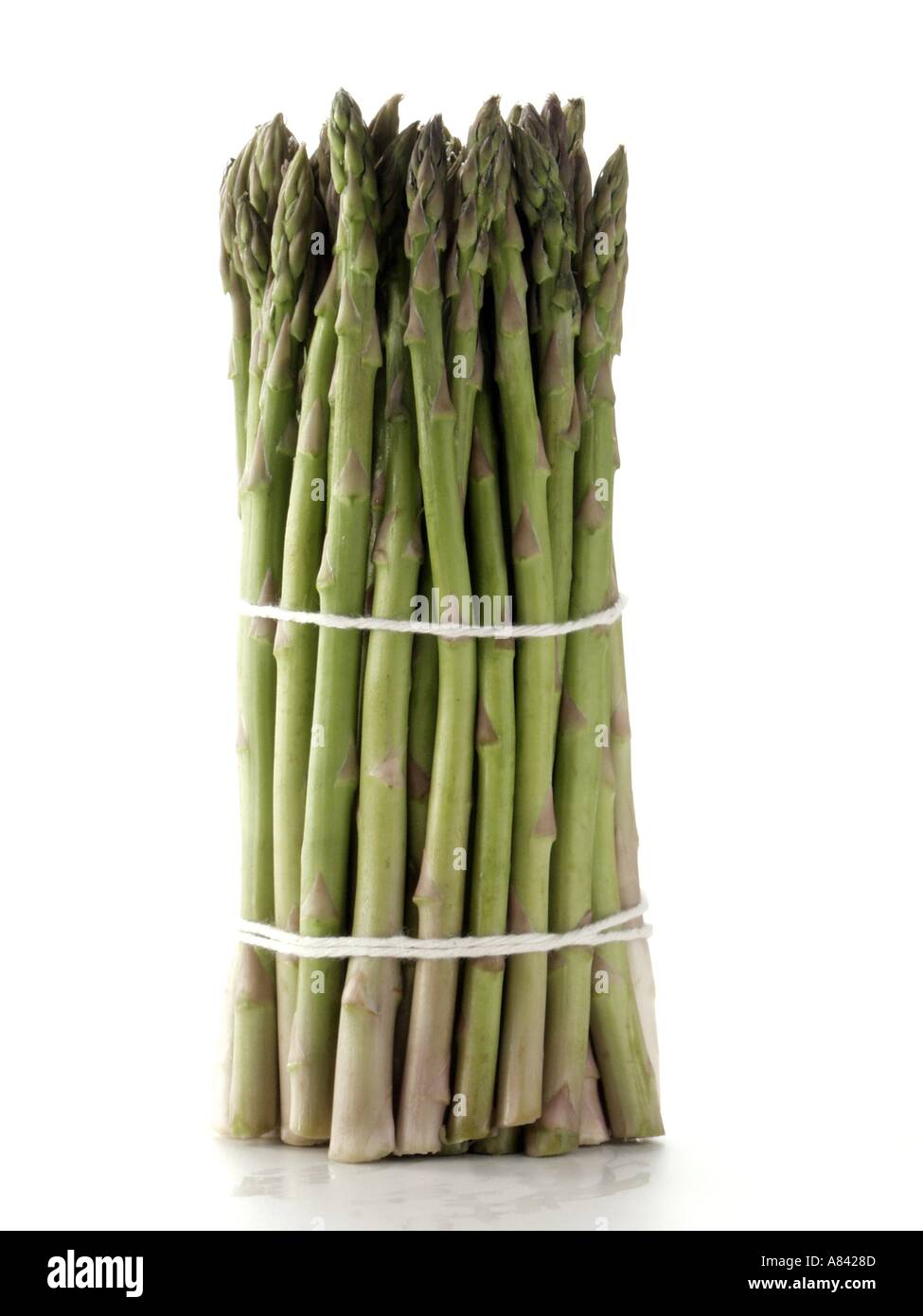 Spargel in einem Bündel gebunden Stockfoto