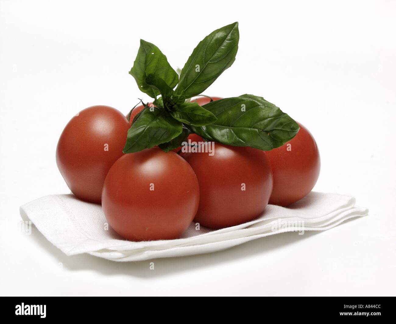 Reben Sie gereifte Tomaten mit Basilikum auf Küchenpapier Stockfoto