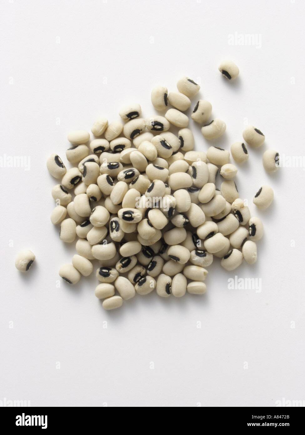 Black Eyed Peas Stockfoto Black Eyed Peas Stockfoto