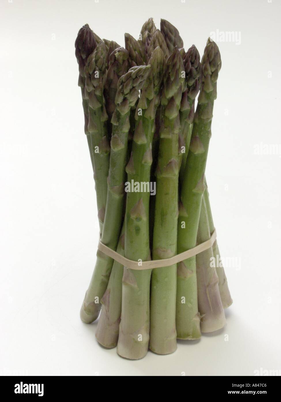 Gebündelte Spargel Stockfoto