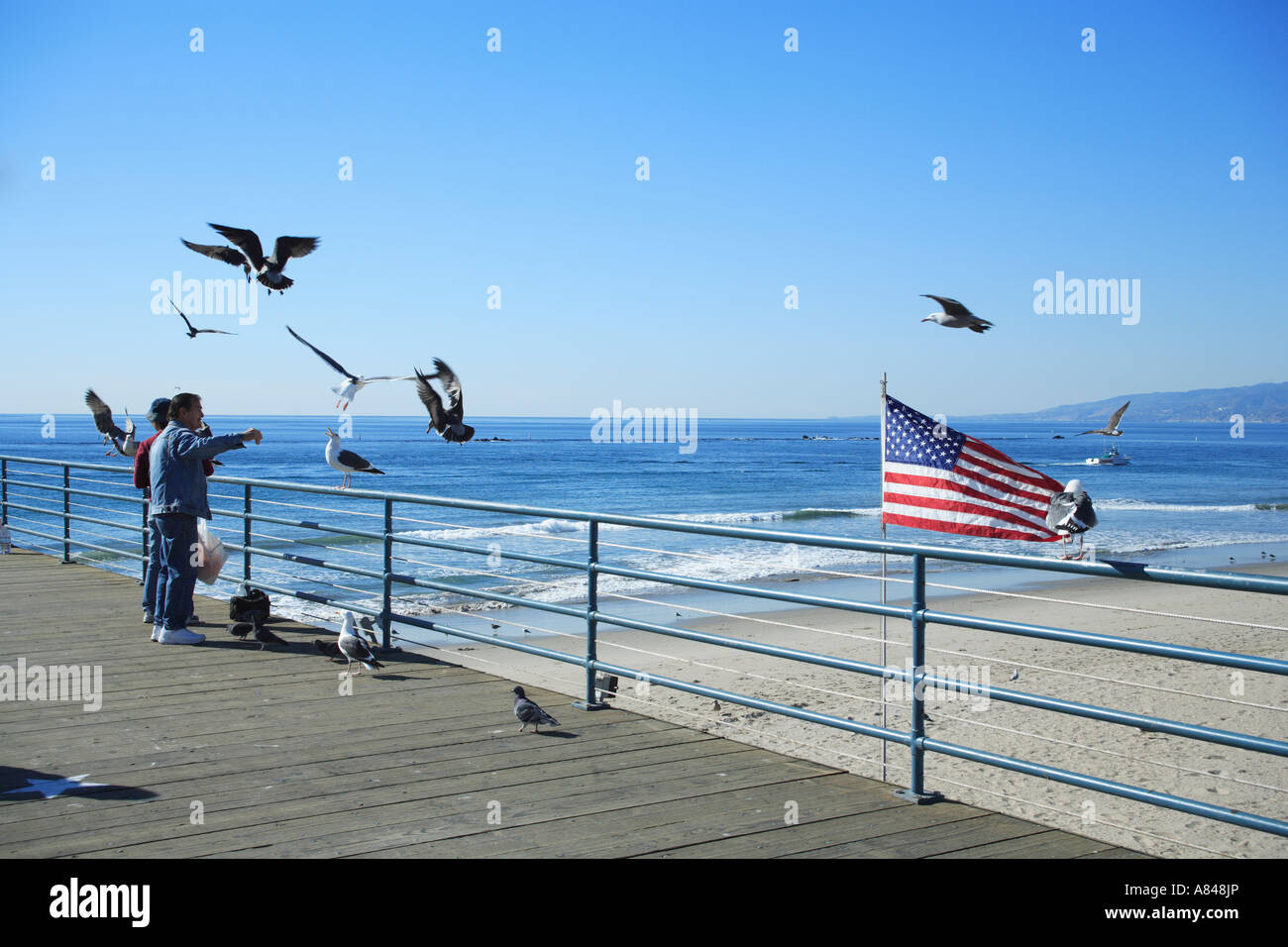 touristischen Fütterung Möwen am Pier. Santa Monica, Kalifornien, usa Stockfoto