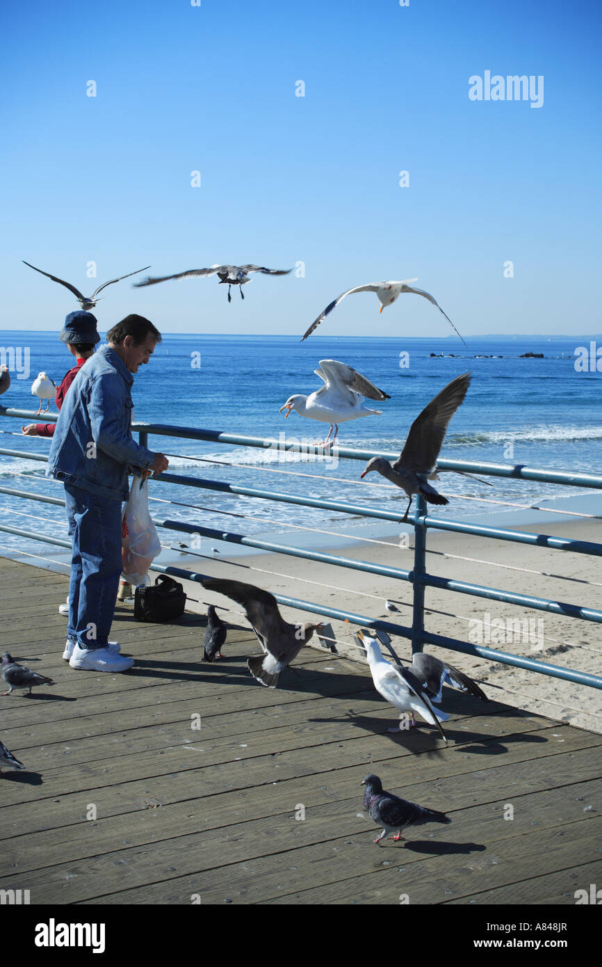 touristischen Fütterung Möwen am Pier. Santa Monica, Kalifornien, usa Stockfoto