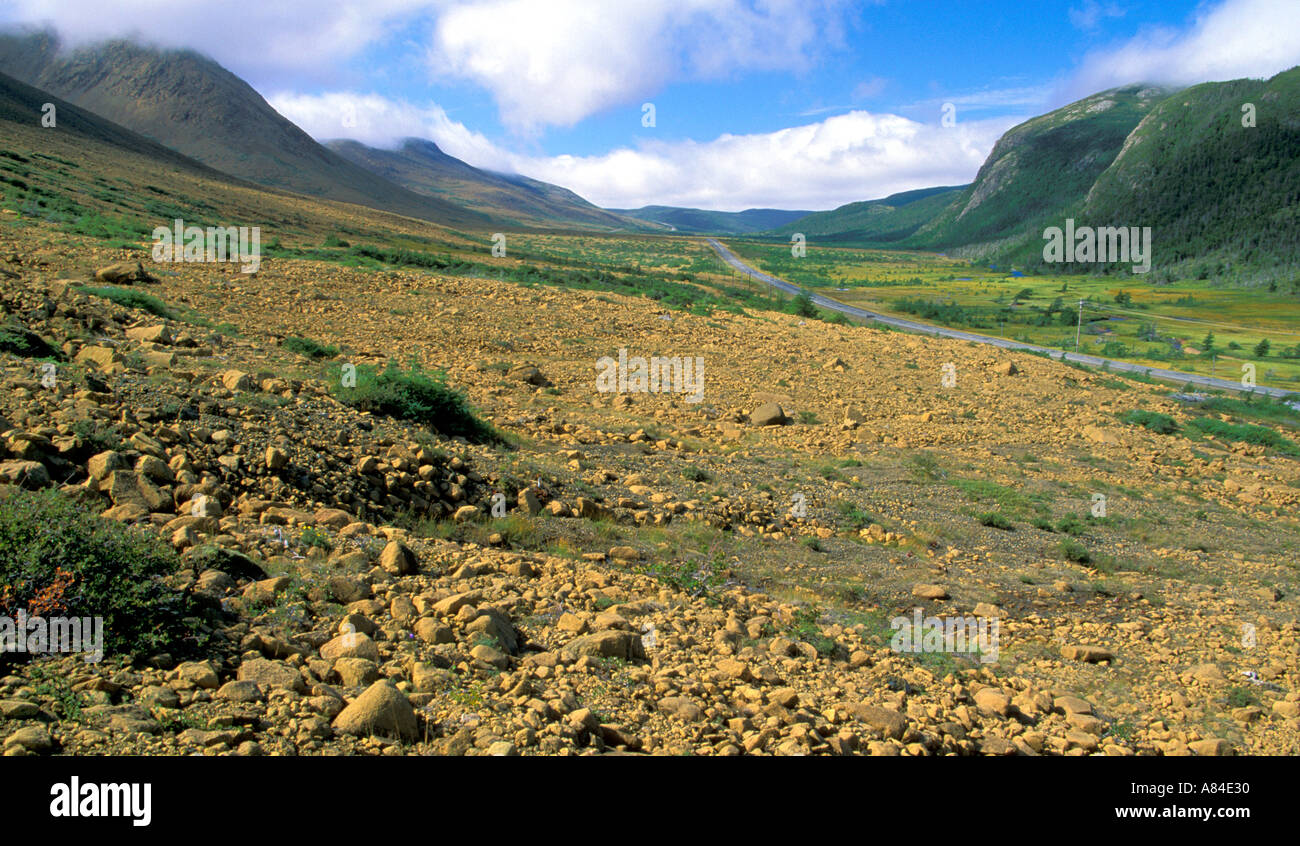 Autobahn durch Gros Morne National Park Highway 431 Gros Morne National Park Neufundland Kanada Stockfoto