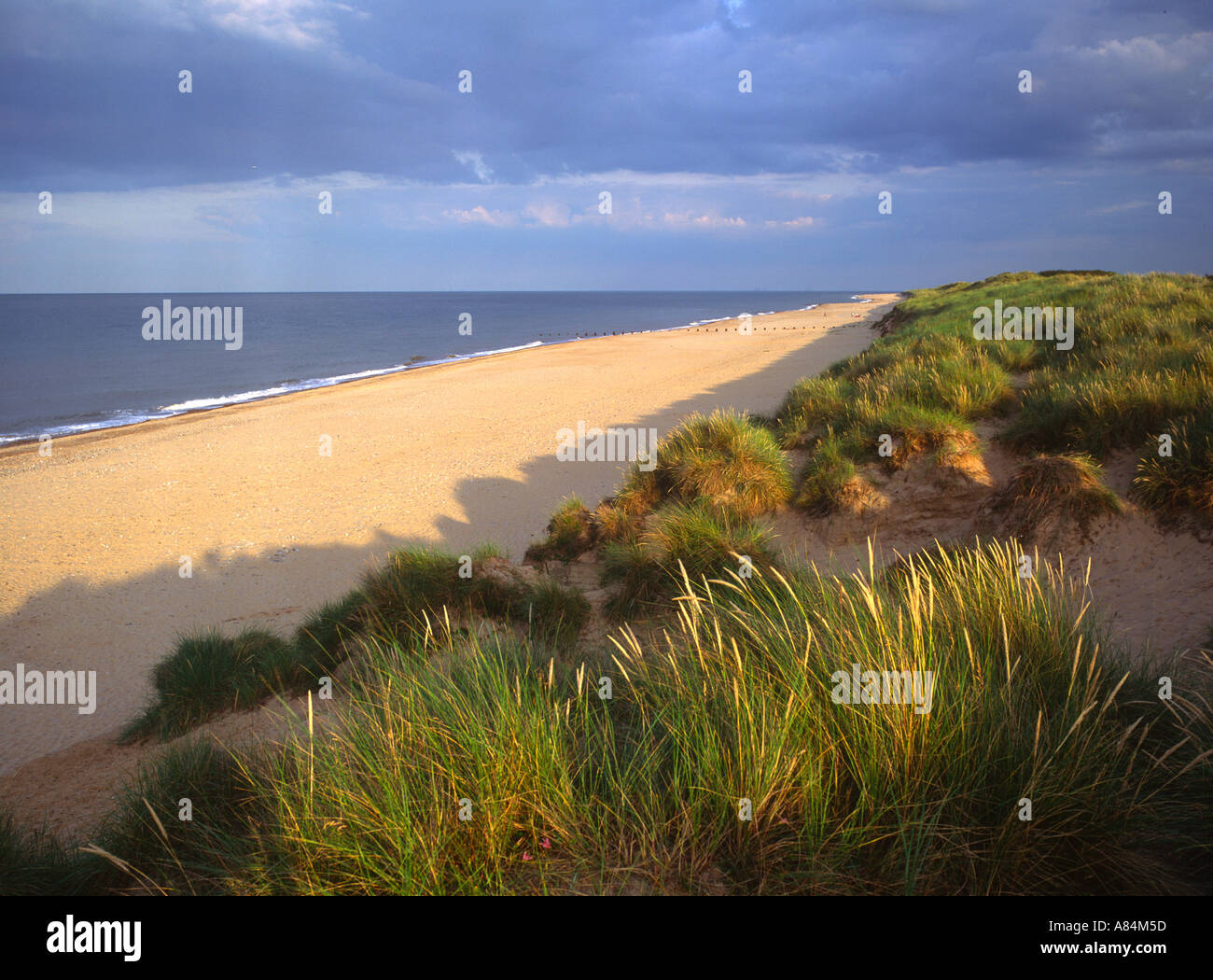 Die Sanddünen ein Strand von Waxham in Norfolk England UK Stockfoto