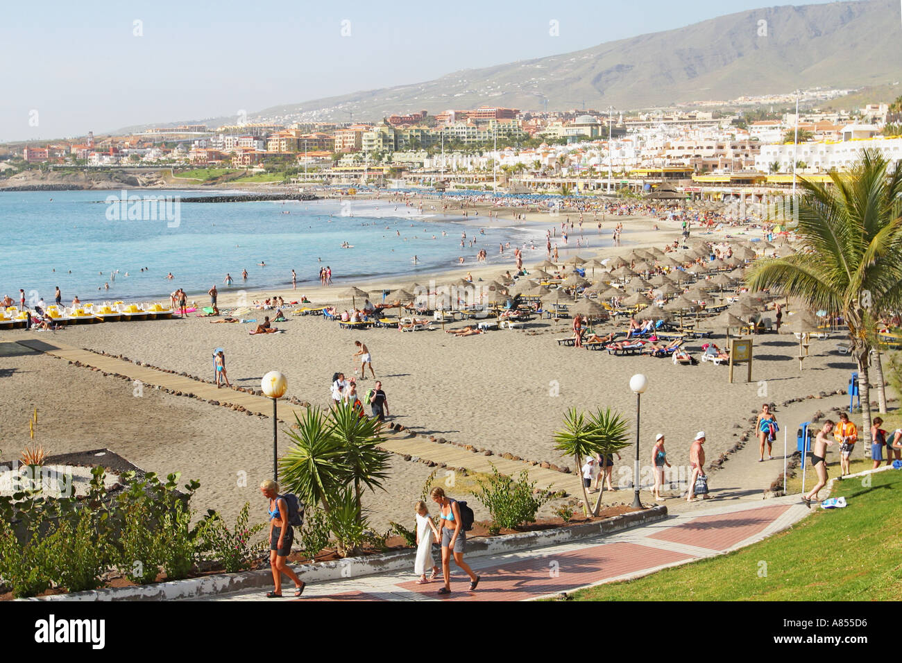 Playa La Pinta oder Colon, Costa Adeje, Teneriffa, Kanarische Inseln, Spanien. Stockfoto